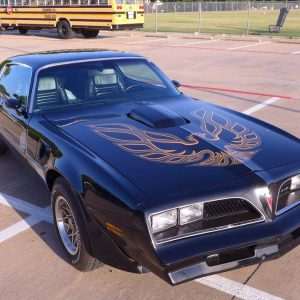 1978 Pontiac Trans Am WS6/W72 Survivor W/6