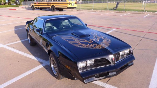 1978 Pontiac Trans Am WS6/W72 Survivor W/6