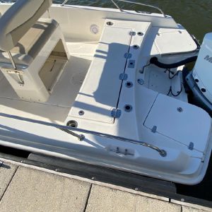 2019 Boston Whaler 240 Dauntless