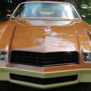 1979 Chevrolet Camaro Rally Sport