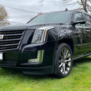 2020 Cadillac Escalade Platinum