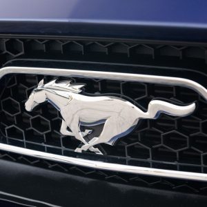 2015 Ford Mustang GT Coupe 50th Anniversary Edition